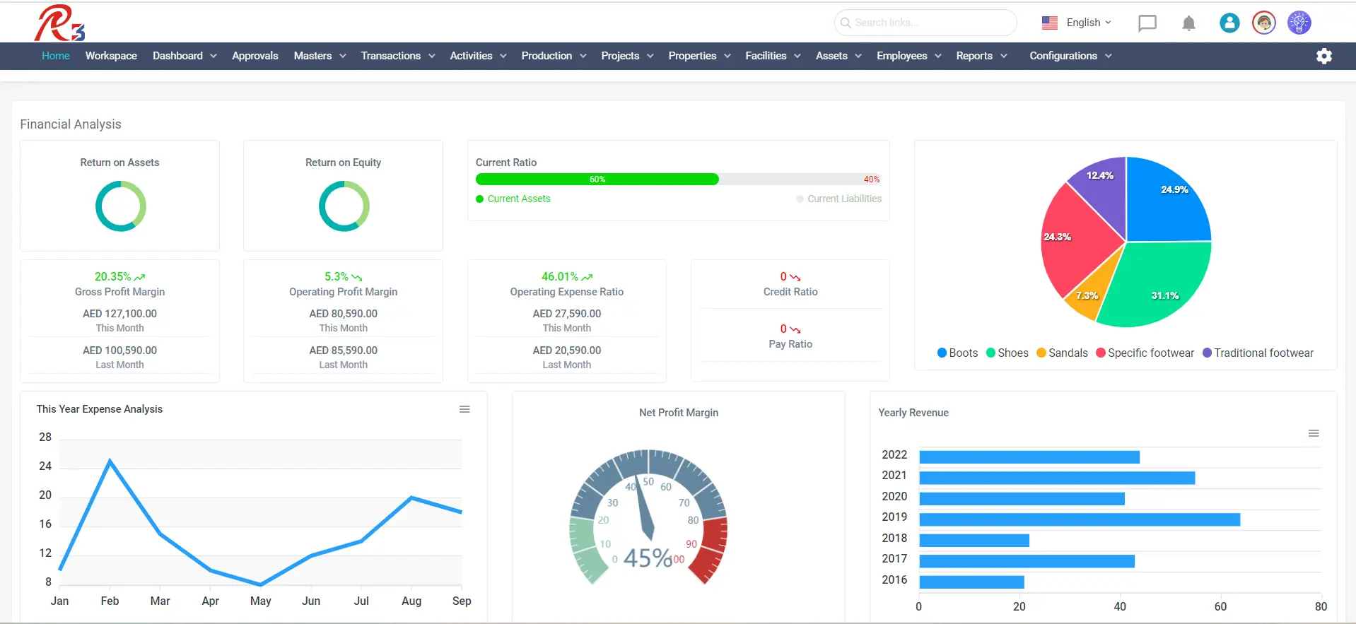 Projects ERP Financial Analysis Dashboard